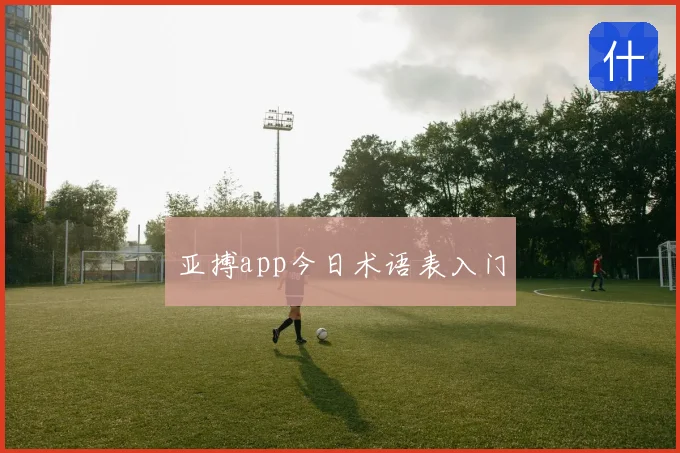 亚搏app今日术语表入门